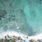 aerial view of beach during daytime