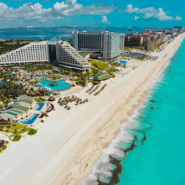 aerial view of people on beach during daytime