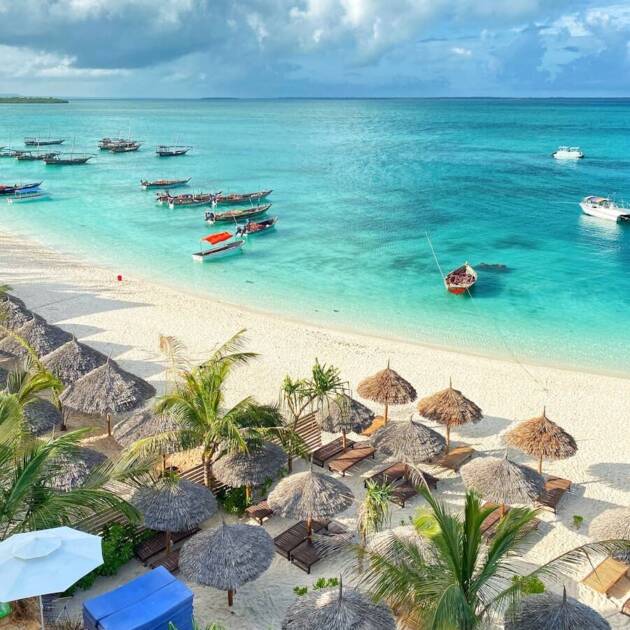 people on beach during daytime