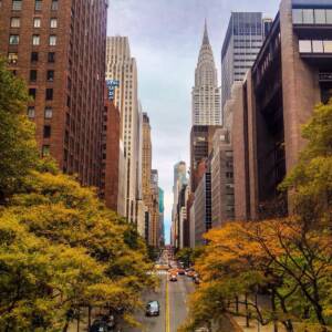 Retail Insider NYC