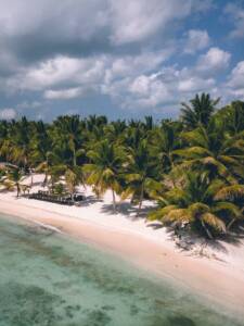 Tropical beach with palm trees and clear ocean water.