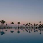 green palm trees near body of water during daytime