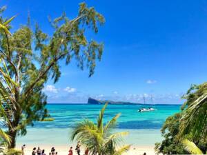 people by the beach during daytime