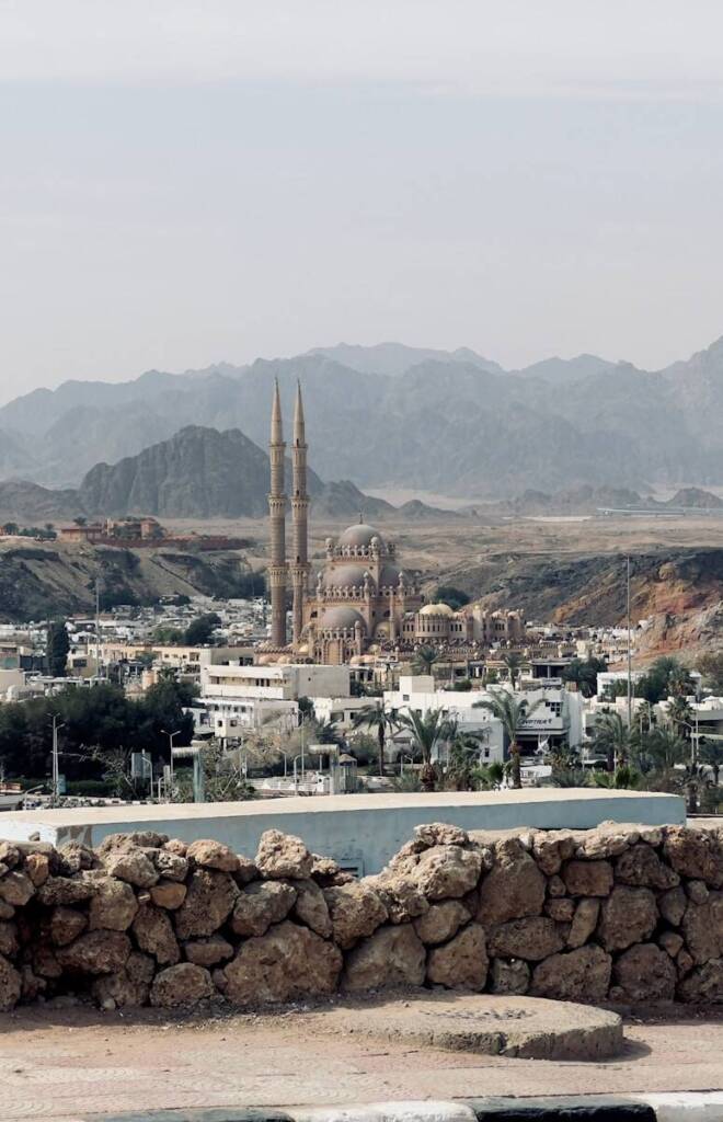 a view of a city with mountains in the background